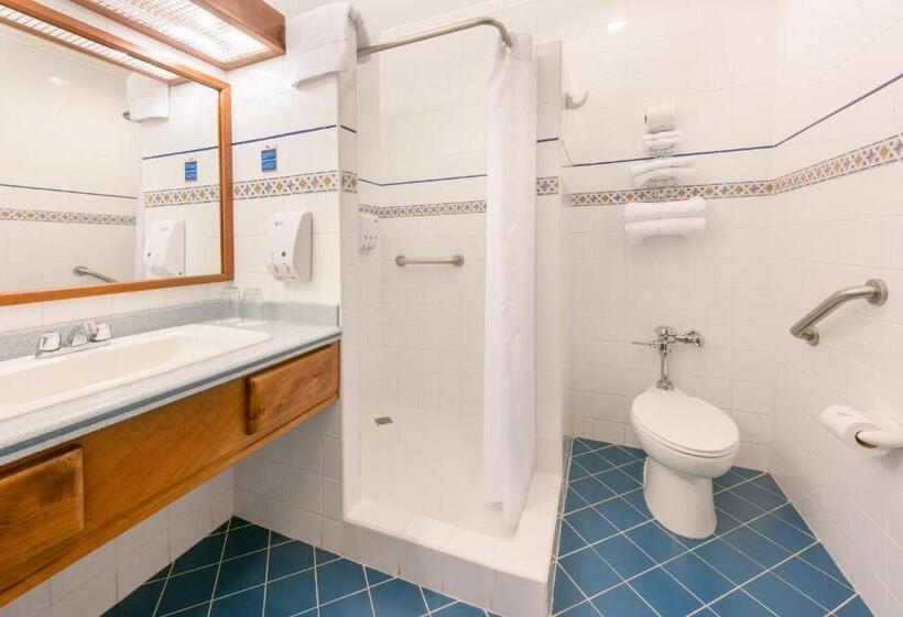 غرفة قياسية مطلة على الجبل, Bougainvillea San Jose