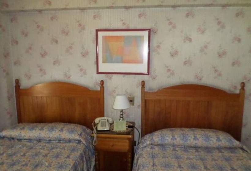 חדר סטנדרט, Foresta