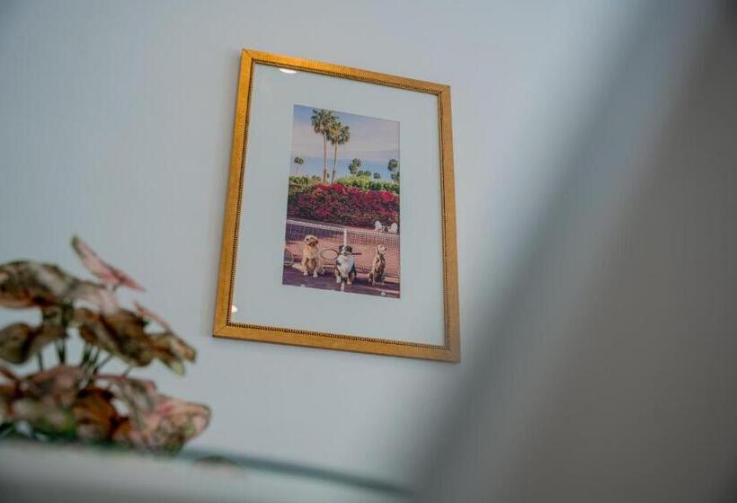 Standaard Vierpersoonskamer, Marcos Gamero