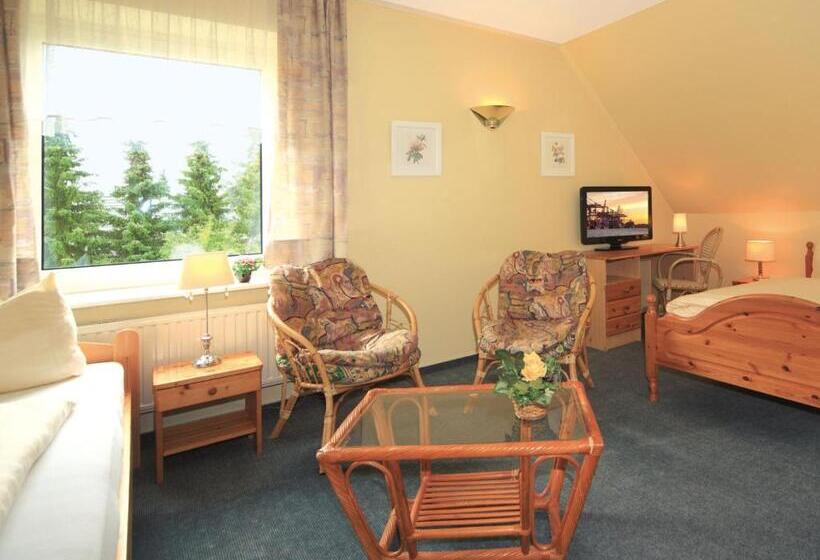 스탠다드 룸, Maromme