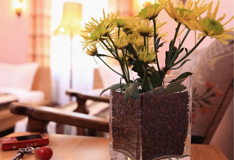 اتاق استاندارد سه نفره, Pension Cortina