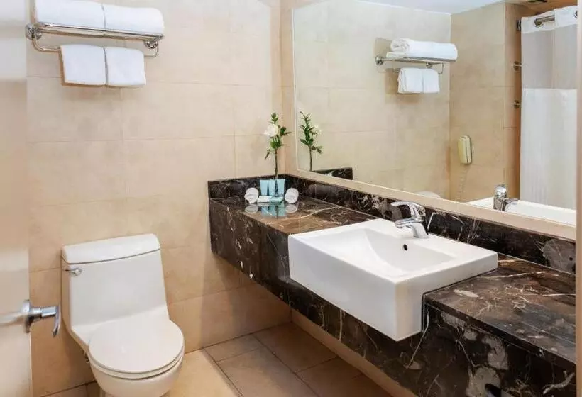 اتاق کلاسیک با تخت دونفره, Le Méridien Santiago By Marriott