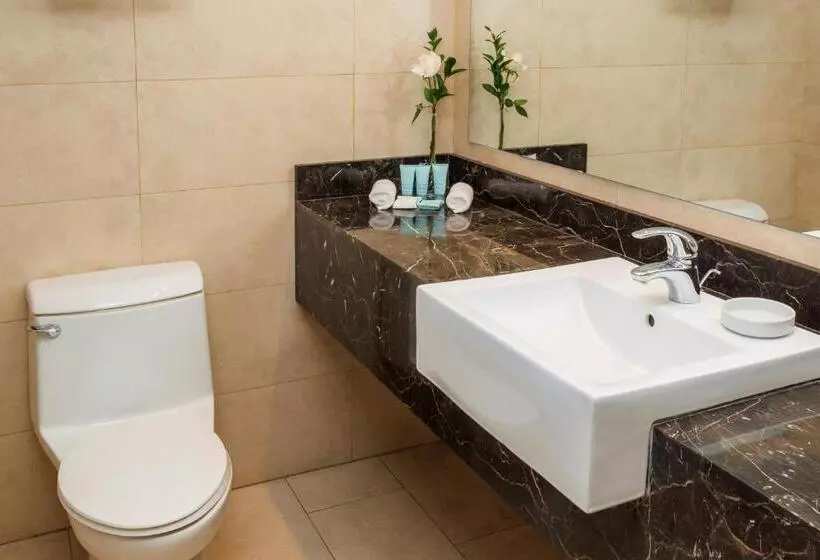 اتاق کلاسیک با چشمانداز شهر, Le Méridien Santiago By Marriott