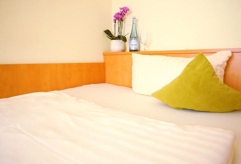 חדר קומפורט יחיד, Wohngut Koblenz