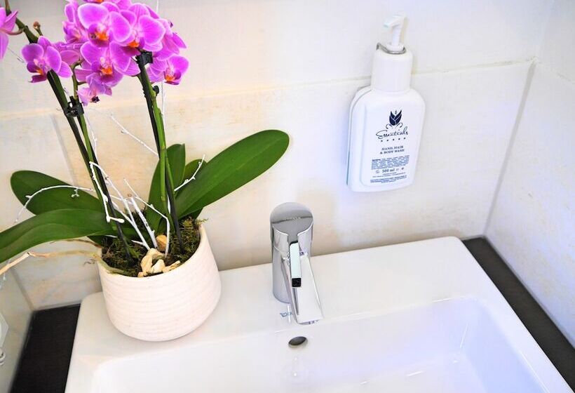 חדר קומפורט, Wohngut Koblenz