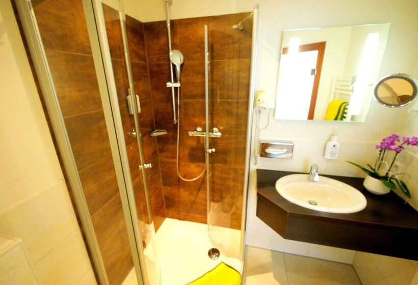 חדר קלאסי, Wohngut Koblenz