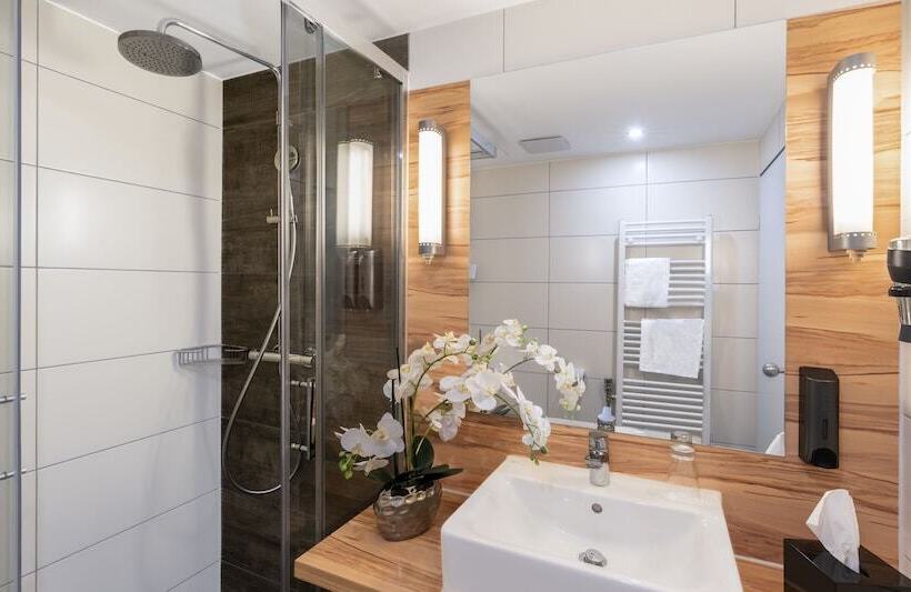 اتاق استاندارد یک نفره, Plaza Premium Columbus Bremen