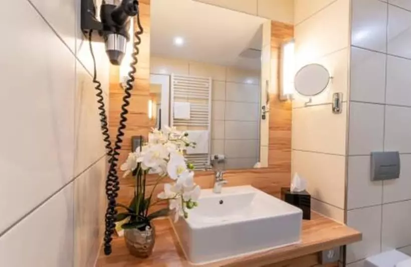 اتاق استاندارد, Plaza Premium Columbus Bremen