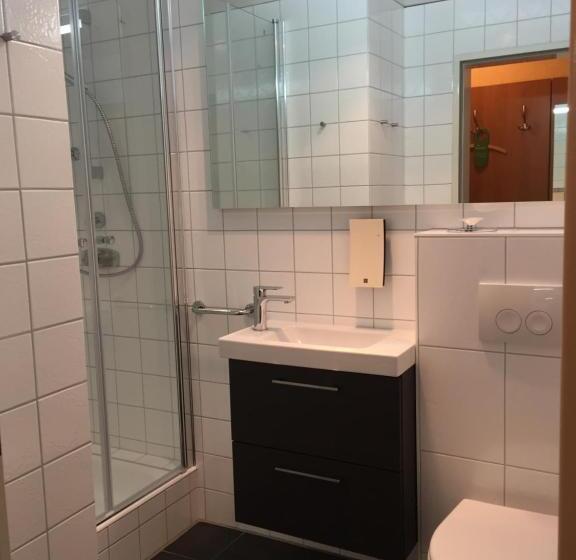 Номер Стандарт Индивидуальный, Vitalhotel Ascona
