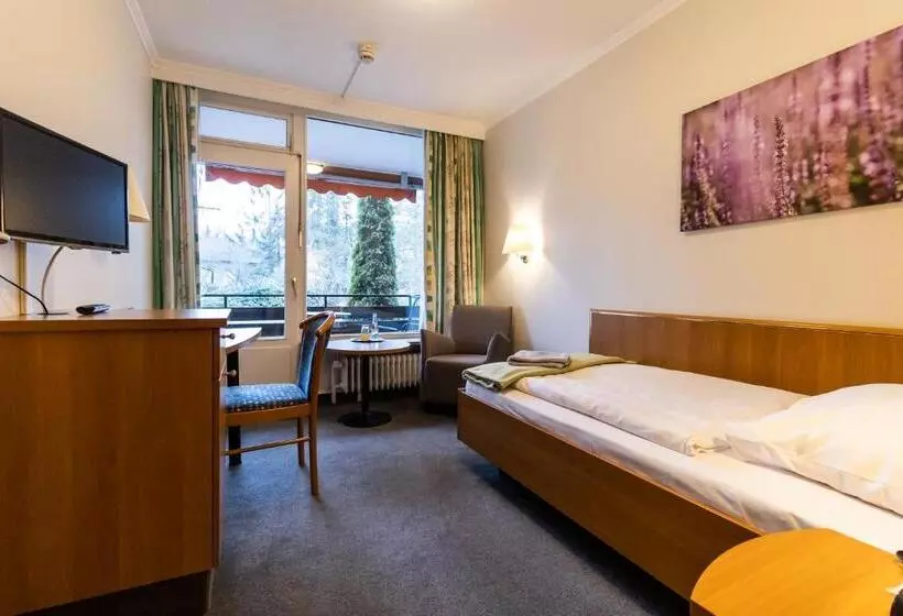 スタンダードシングルルーム, Vitalhotel Ascona