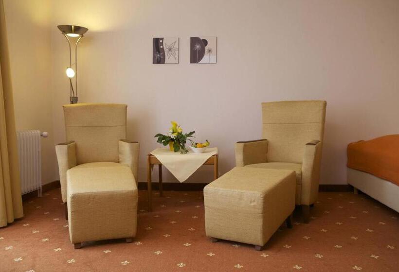 Номер Стандарт, Vitalhotel Ascona
