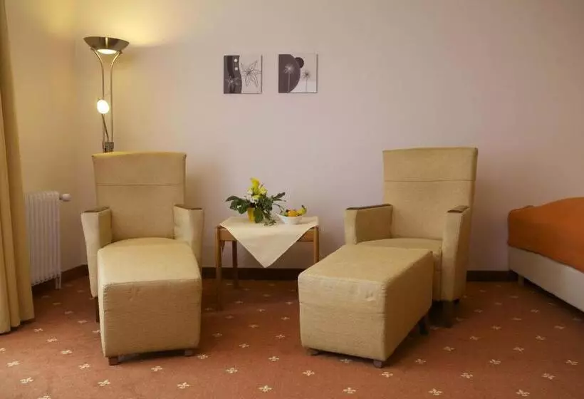 スタンダードルーム, Vitalhotel Ascona
