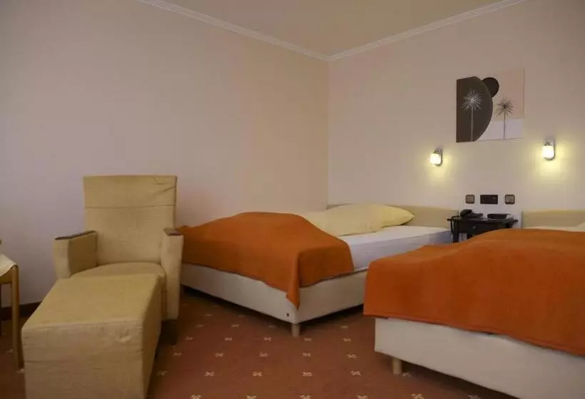 スタンダードルーム, Vitalhotel Ascona