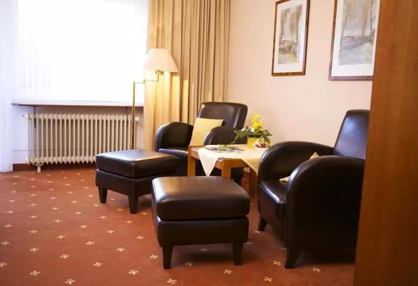 スタンダードルーム, Vitalhotel Ascona