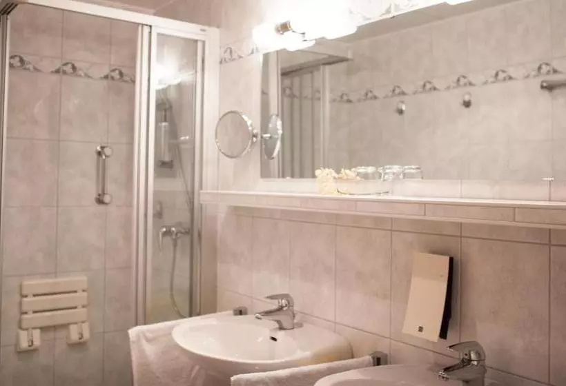 スタンダードルーム, Vitalhotel Ascona