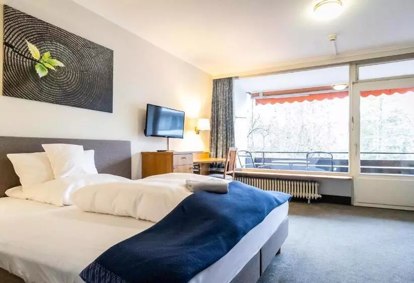 シングルデラックスルーム, Vitalhotel Ascona