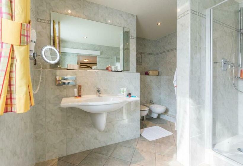 غرفة قياسية, Lohmann S Romantik Hotel Gravenberg