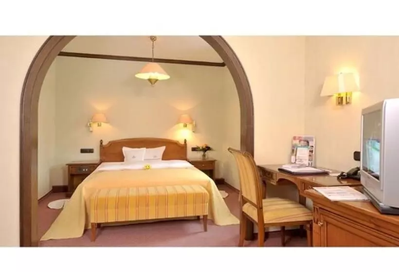 スタンダードシングルルーム, Lohmann S Romantik Hotel Gravenberg