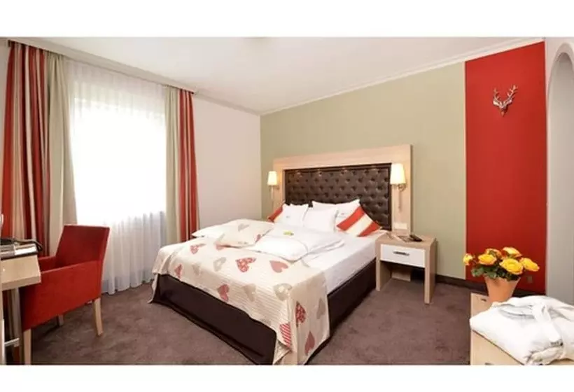 スタンダードシングルルーム, Lohmann S Romantik Hotel Gravenberg