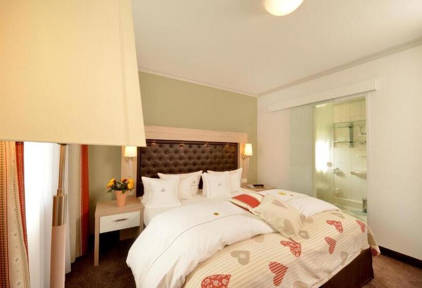 غرفة قياسية, Lohmann S Romantik Hotel Gravenberg