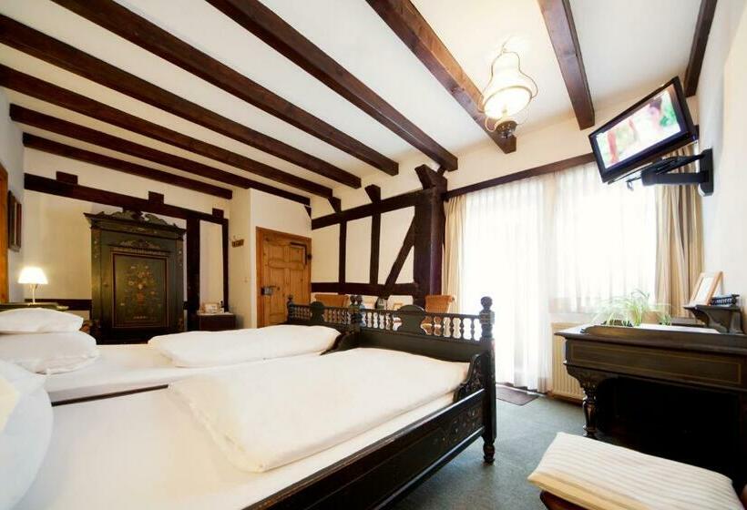 Номер Стандарт Индивидуальный, Romantik Hotel Alte Vogtei