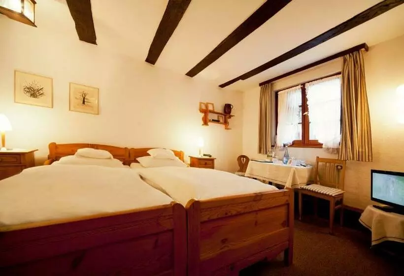スタンダードシングルルーム, Romantik Hotel Alte Vogtei