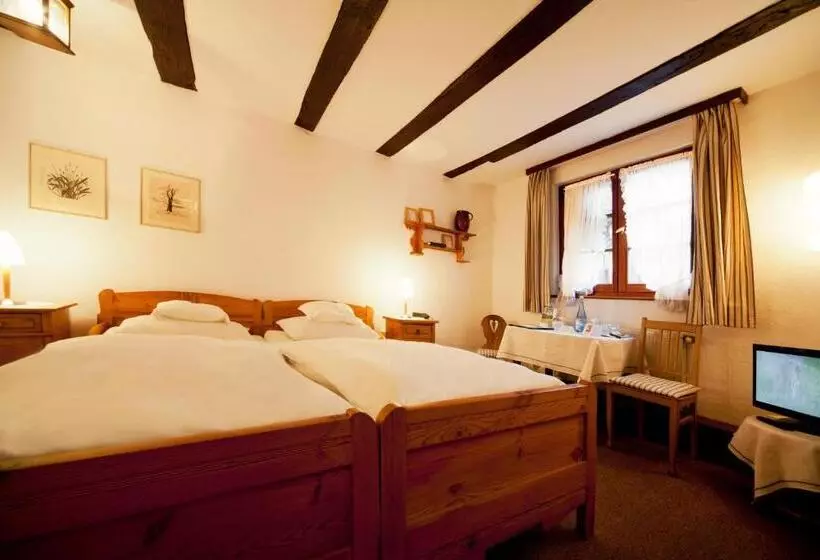 スタンダードルーム, Romantik Hotel Alte Vogtei