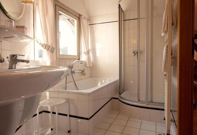 חדר דלוקס יחיד, Romantik Hotel Alte Vogtei