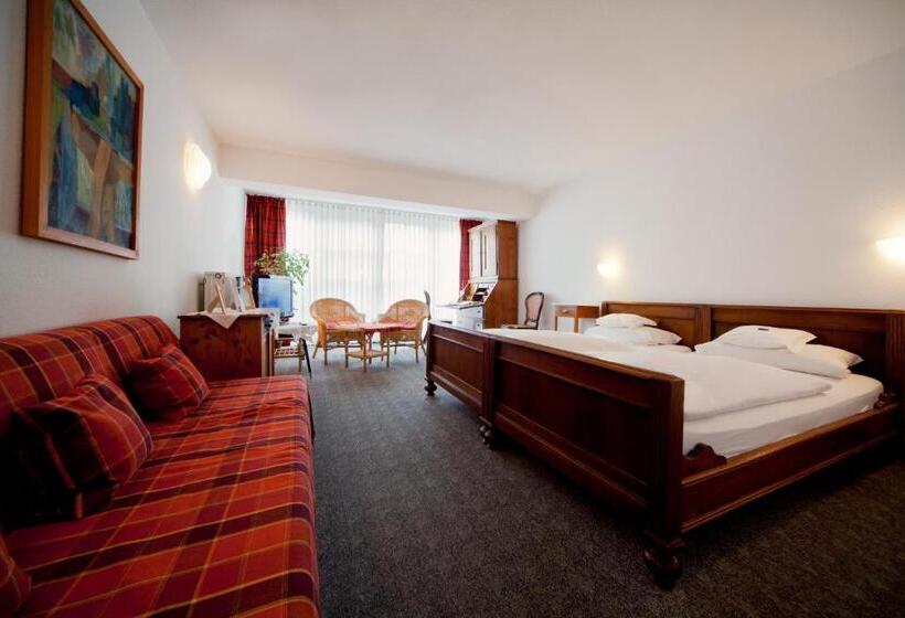 חדר דלוקס יחיד, Romantik Hotel Alte Vogtei