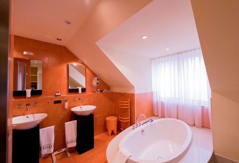 小型套房, Atrium Hotel Mainz