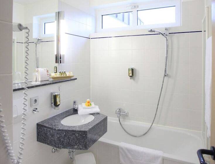 غرفة تنفيذية, Best Western Plus Hotel Steinsgarten