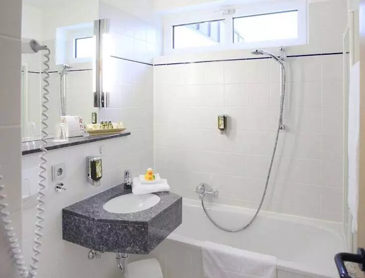 エクゼクティブルーム, Best Western Plus Hotel Steinsgarten