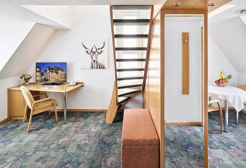 סוויטת ג'וניור סופריור, Hirsch