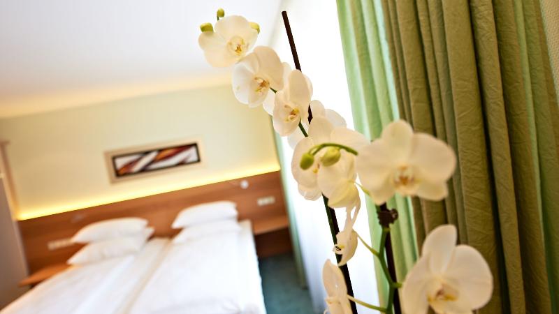 סוויטת ג'וניור דלוקס, Hirsch