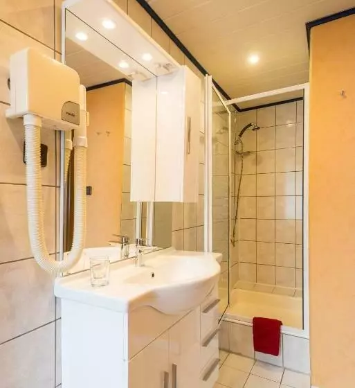 , Moselromantik Hotel Zum Löwen