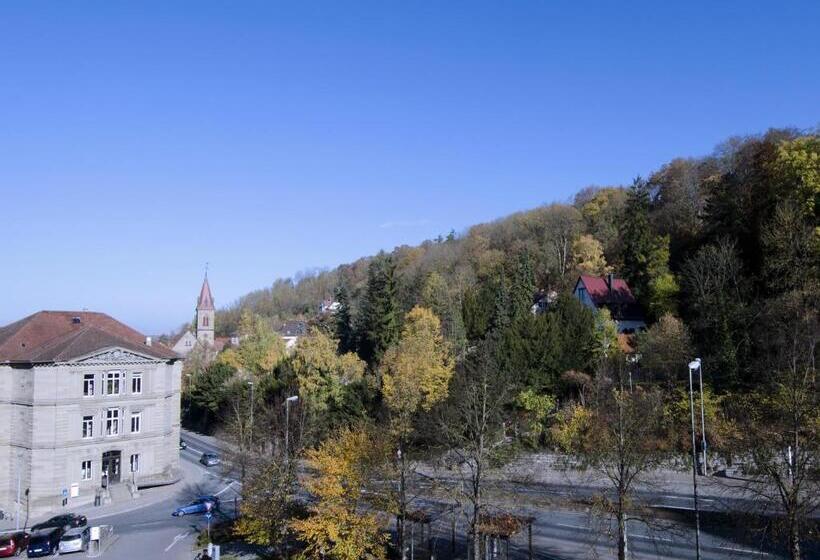 デラックスルーム, Scholl