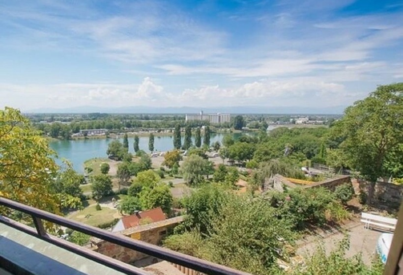 חדר סטנדרט נוף לנהר, Stadt Breisach