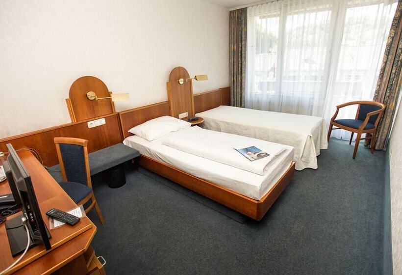 غرفة قياسية, Altenburgblick