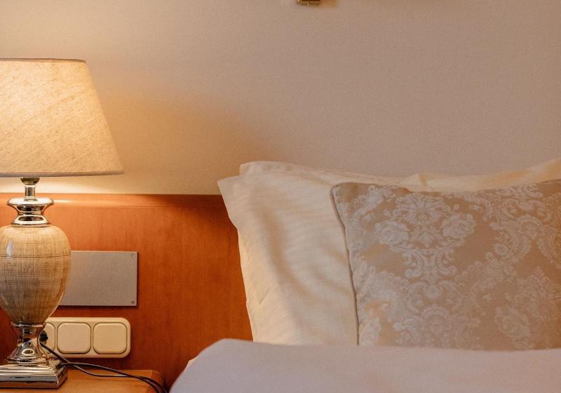 스탠다드 싱글 룸, Fletzinger