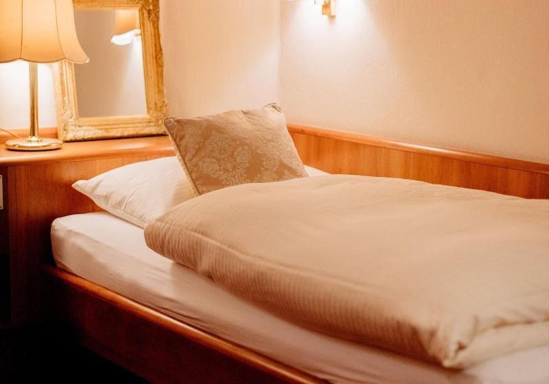 스탠다드 싱글 룸, Fletzinger