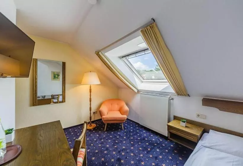 Habitación Estándar Individual, Franken