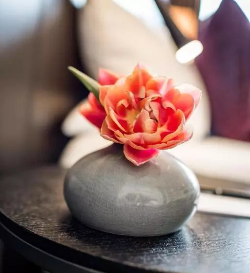 Comfort Yhden Hengen Huone, Restaurant Spa Torkel