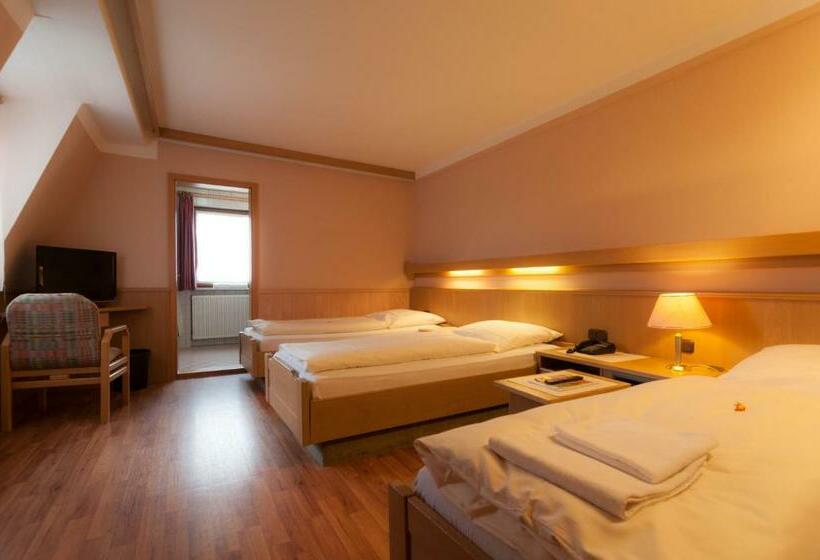 חדר סטנדרט לשלושה, Rothenburger Hof