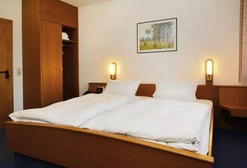 ベーシックルーム, Seligweiler Hotel & Restaurant