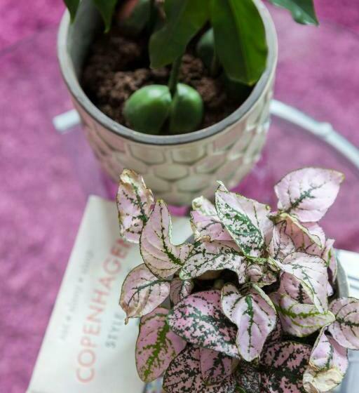 스탠다드 룸, Andersen Boutique