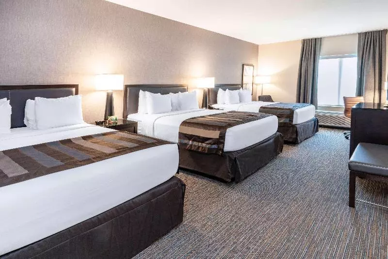 اتاق اجرایی, Best Western Plus Hotel Eyde