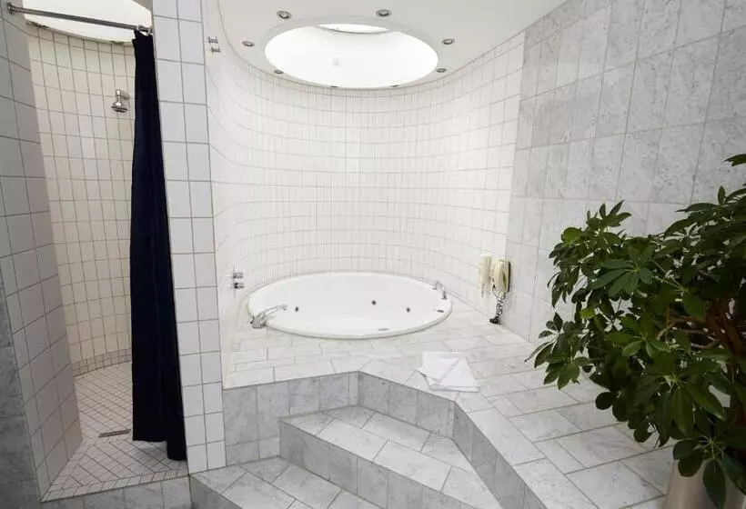 Studio Standard, Norden