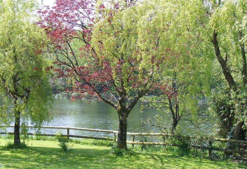 غرفة ديلوكس, Innishannon House