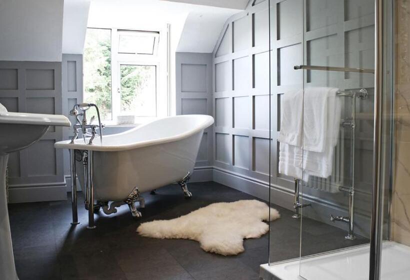 غرفة ديلوكس, Innishannon House