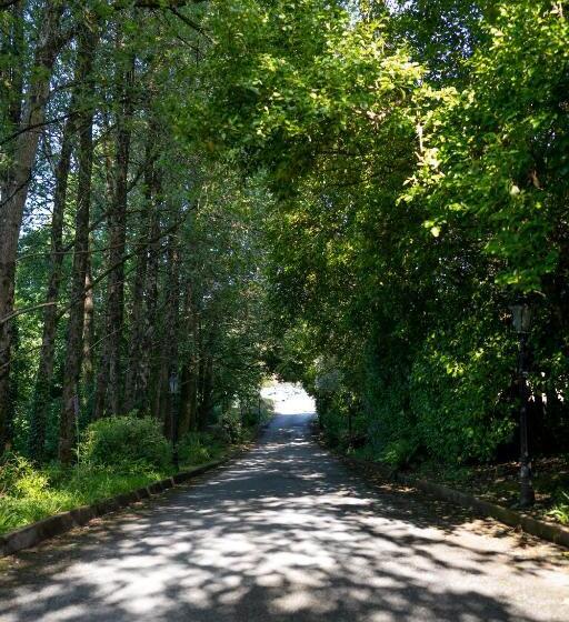 غرفة قياسية, Innishannon House